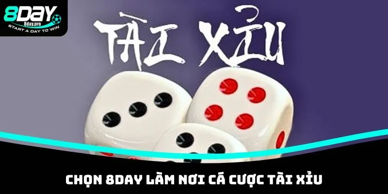 Chọn 8DAY làm nơi cá cược Tài Xỉu