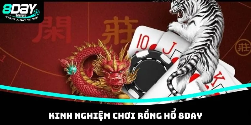 Kinh nghiệm chơi Rồng Hổ