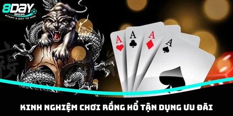 6 Kinh Nghiệm Chơi Rồng Hổ Tại Nhà Cái 8DAY Cho Tân Thủ 5 Kinh nghiệm chơi Rồng Hổ tận dụng ưu đãi